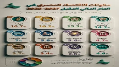 48 في المئة من اقتصاد مصر يتركز في الزراعة والصناعة والإنشاءات والبنية التحتية تقود عصر التحول في جريدة هرم مصر