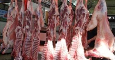 أسعار اللحوم اليوم في أسواق مطروح الضأن يبلغ 450 جنيها جريدة هرم مصر