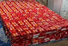 إحباط عملية تهريب خطيرة لضمانات السلامة في حضرموت عبر منفذ الوديعة وضبط 280 كيلو سيانيد الصوديوم و70 ألف قرص سولبادين جريدة هرم مصر