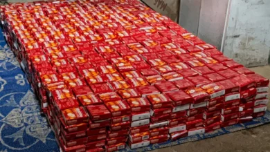 إحباط عملية تهريب خطيرة لضمانات السلامة في حضرموت عبر منفذ الوديعة وضبط 280 كيلو سيانيد الصوديوم و70 ألف قرص سولبادين جريدة هرم مصر