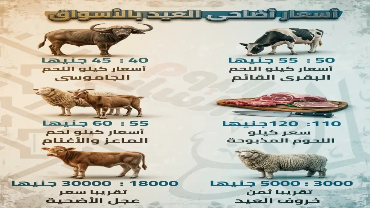 ارتفاع أسعار اللحوم ينعكس على المواطنين ومصادر تكشف عن ضبط 190 طنًا غير صالح للاستهلاك بجريدة هرم مصر