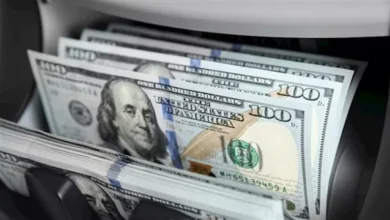 ارتفاع كبير في سعر الدولار مقابل الجنيه في سبعة بنوك مع ختام تعاملات 4-5-2026 جريدة هرم مصر