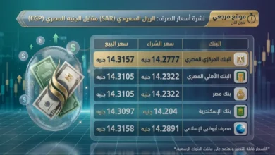استقرار سعر الريال السعودي أمام الجنيه المصري والبنك الأهلي يعلن أرقام الصرف اليوم في جريدة هرم مصر