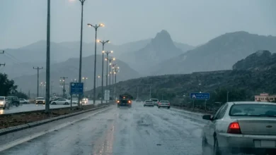 الأمطار الغزيرة تتسبب في أجواء مذهلة في نجران والباحة وتحذيرات رسمية من المركز الوطني حتى 9 مساءً جريدة هرم مصر