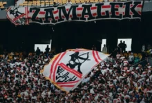 الزمالك يعلن عن 25 حافلة مجانية لنقل الجماهير إلى برج العرب بشروط حضور واستعدادات صادمة جريدة هرم مصر