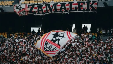 الزمالك يعلن عن 25 حافلة مجانية لنقل الجماهير إلى برج العرب بشروط حضور واستعدادات صادمة جريدة هرم مصر