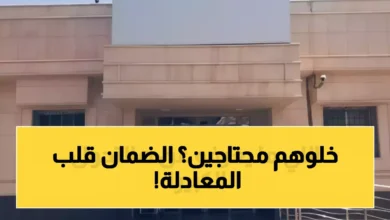 برنامج الضمان الاجتماعي يفتح باب تحول الأسر من دعم إلى إنتاجية بداخله نجاح أكبر ل100 ألف أسرة جريدة هرم مصر