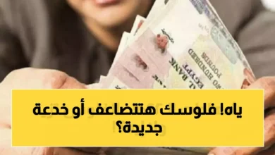 بنوك مصر تطرح شهادات بعائد 22 في المئة والتوقعات تشير إلى انخفاضها قريبا جريدة هرم مصر