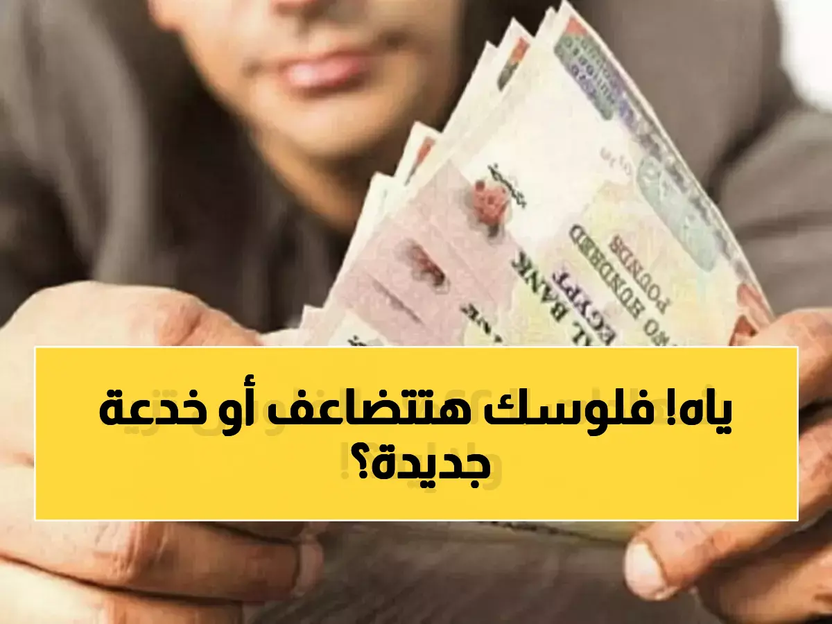 بنوك مصر تطرح شهادات بعائد 22 في المئة والتوقعات تشير إلى انخفاضها قريبا جريدة هرم مصر