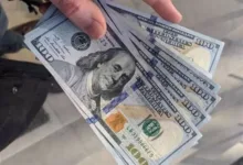 تباين سعر الدولار اليوم الإثنين في منتصف التعاملات والارتفاع والانخفاض في سعر الأخضر مقابل الجنيه المصري جريدة هرم مصر