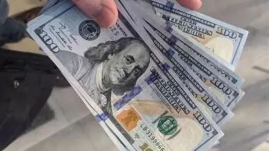تباين سعر الدولار اليوم الإثنين في منتصف التعاملات والارتفاع والانخفاض في سعر الأخضر مقابل الجنيه المصري جريدة هرم مصر