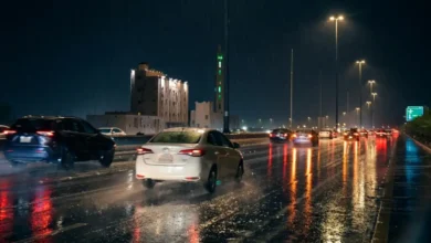 تحذير من الأرصاد لسكان تسع مناطق في السعودية من أمطار رعدية غزيرة ورياح تصل إلى 60 كم في الساعة تهدد المنازل من الاثنين إلى الجمعة جريدة هرم مصر