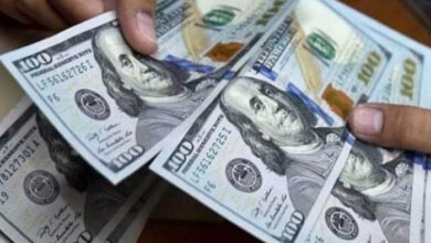 تدفقات الأموال الساخنة تعزز استقرار السوق المصري وتحقق 23 مليار دولار خلال أبريل 2026 جريدة هرم مصر