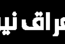 تراجع ملحوظ في أسعار الفراخ البيضاء اليوم في بورصة الدواجن مع استقرار السوق جريدة هرم مصر