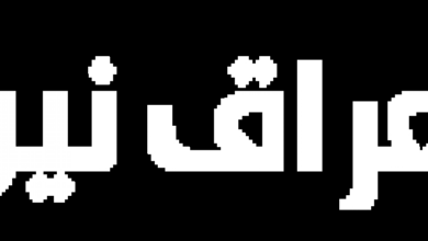 تراجع ملحوظ في أسعار الفراخ البيضاء اليوم في بورصة الدواجن مع استقرار السوق جريدة هرم مصر