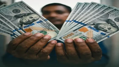 ثبات الدولار المذهل اليوم وخبراء يكشفون عن سر حماية الاقتصاد المصري من الانهيار جريدة هرم مصر
