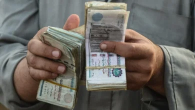 خبر سار للموظفين قبل عيد الأضحى تفاصيل زيادة الأجور الجديدة عبر جريدة هرم مصر