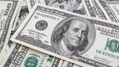 سعر الدولار اليوم الإثنين استقرار وتحديث بداية تعاملات البنوك في مصر جريدة هرم مصر