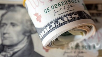 سعر الدولار في البنوك المصرية اليوم الاثنين 4 5 2026 مقابل الجنيه وأهم التحديثات في سوق الصرف جريدة هرم مصر