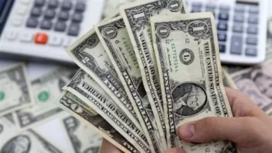 سعر الدولار في البنوك المصرية اليوم الاثنين 4 مايو 2026 وأحدث تداولات العملة الخضراء في مصر جريدة هرم مصر