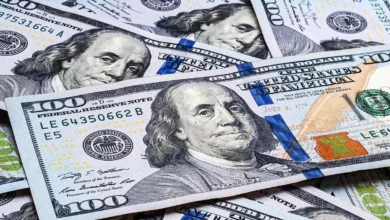 سعر صرف الدولار مقابل الجنيه المصري في البنوك اليوم ومستجدات السوق المالية جريدة هرم مصر