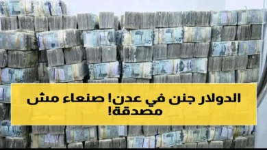 صدمة في اليمن الدولار يتجاوز 1582 ريال في عدن مقابل 540 في صنعاء وانقسام اقتصادي حاد في ظل انهيار الأسعار جريدة هرم مصر