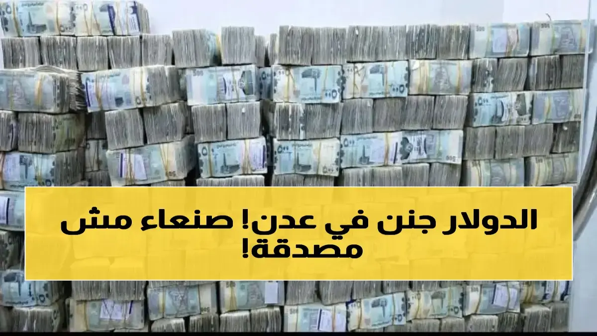 صدمة في اليمن الدولار يتجاوز 1582 ريال في عدن مقابل 540 في صنعاء وانقسام اقتصادي حاد في ظل انهيار الأسعار جريدة هرم مصر