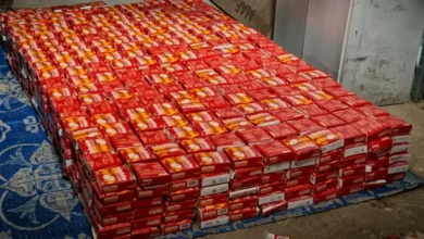 ضبط شحنة خطرة محملة بسم السيانيد الصوديوم والادوية المهربة في منفذ الوديعة جريدة هرم مصر