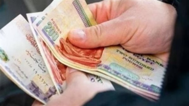 مواعيد صرف الرواتب وقيمها حسب كل درجة وظيفية خطوة هامة تعرف عليها من جريدة هرم مصر