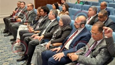 نائبة تطالب بتنظيم أسعار الموبايلات ودعم التصنيع المحلي لتعزيز التحول الرقمي في مصر جريدة هرم مصر