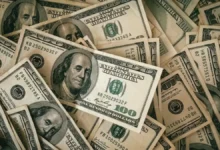 هل يصبح الدولار ثابتًا في مصر الحقيقة داخل البنوك تكشف سر ارتفاع الأسعار والمواطنون يترقبون جريدة هرم مصر