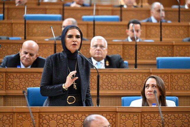 سحر نصر تكشف خريطة تطوير بنك الاستثمار القومي وأثرها على القطاع الخاص والشركات الناشئة