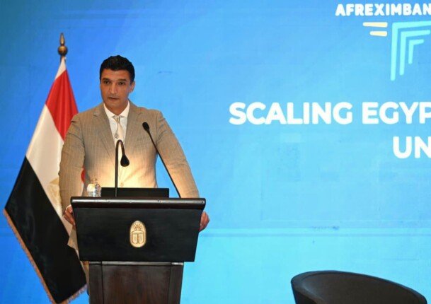 وزير الصناعة يكشف خطة الحكومة لتعزيز صادرات الأدوية والصناعات الزراعية إلى أفريقيا بقوة
